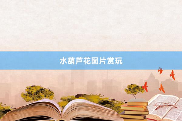 水葫芦花图片赏玩