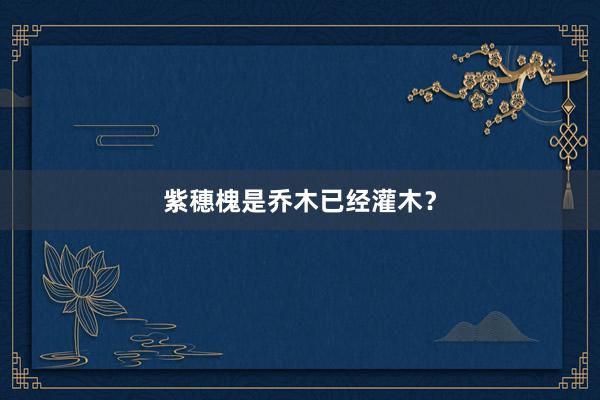 紫穗槐是乔木已经灌木？